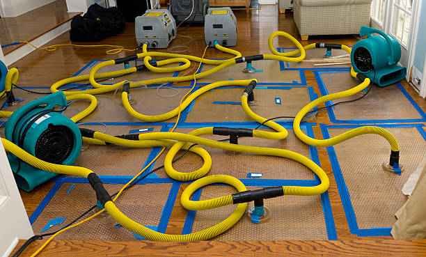 Professional Structural Drying And Dehumidification technician working in Jasper, IN